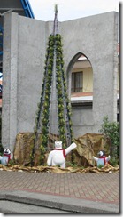 Outside the cathedral