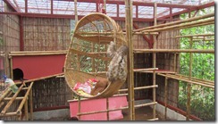 Baby sloth on hanging bed