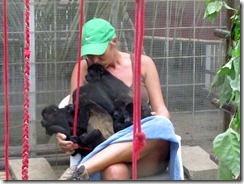 Sarah and all her monkeys