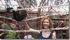 Lori scratching monkey back