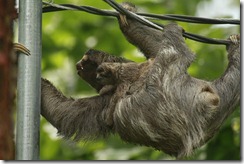 Getting off the wire