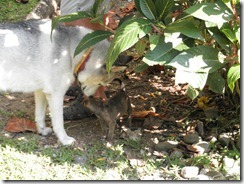 Kaya is not sure about this