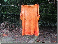 Shirt dyed with achiote 