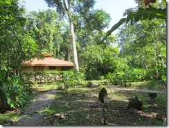 Our House from the new backyard