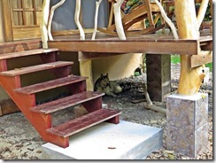 Kayas new favorite place