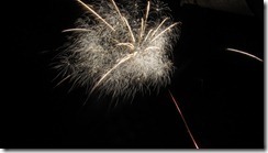New-Year-fireworks_thumb