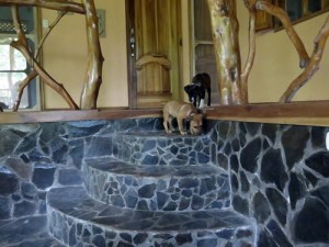 Do I really want to go down these stairs?