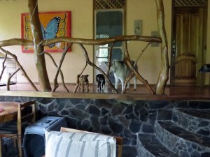 With Kaya on the deck