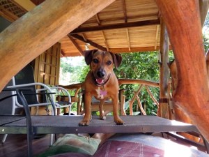 Little Louise - she is a character!!